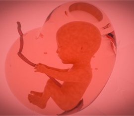 给婴幼儿成都捐卵宝宝添加辅食应避免“四大罪过”