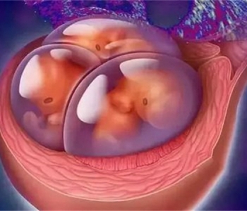3岁成都捐卵宝宝营养不良的标准 孩子营养问题关乎千万人的心